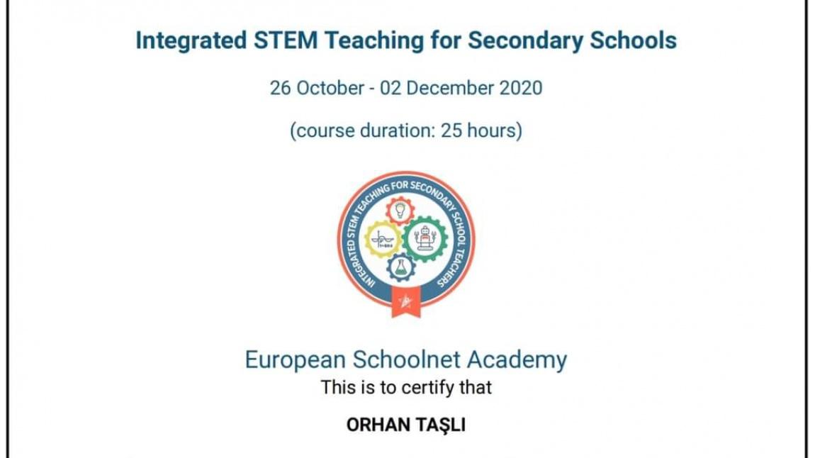 Integrated STEM  Teaching for Secondary Schools
